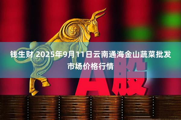 钱生财 2025年9月11日云南通海金山蔬菜批发市场价格行情