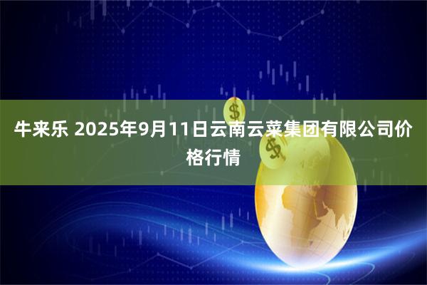 牛来乐 2025年9月11日云南云菜集团有限公司价格行情