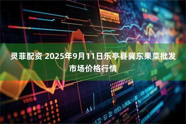 灵菲配资 2025年9月11日乐亭县冀东果菜批发市场价格行情