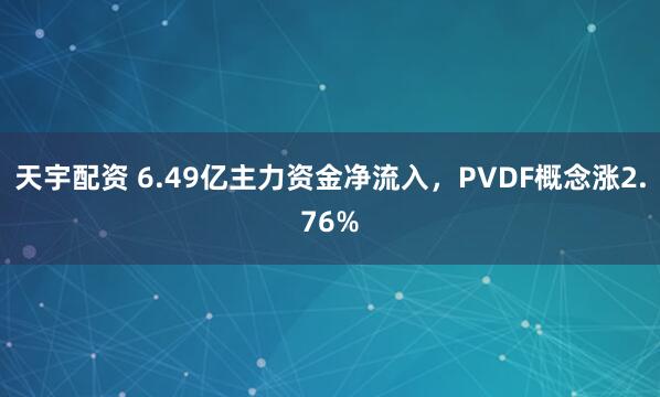 天宇配资 6.49亿主力资金净流入，PVDF概念涨2.76%