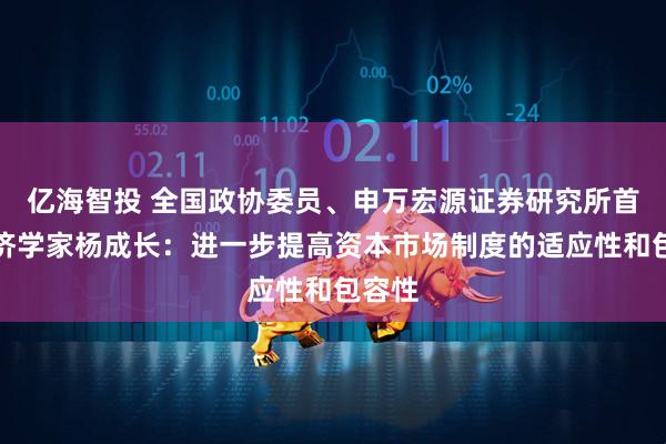 亿海智投 全国政协委员、申万宏源证券研究所首席经济学家杨成长：进一步提高资本市场制度的适应性和包容性