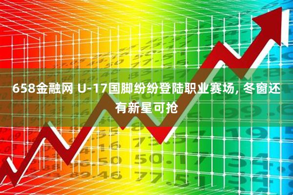 658金融网 U-17国脚纷纷登陆职业赛场, 冬窗还有新星可抢